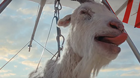 Virgin Media - Goat Glider 2023